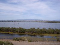 Sardegna 2014 (66)